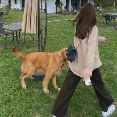孤星血泪